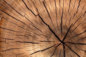 fsc-certified-timber-wood